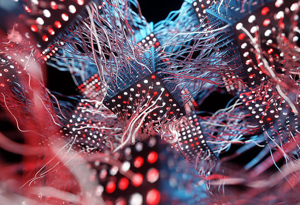 The Dark Art of Silent Authority: Algorithmic Seeding in Niche Forums
