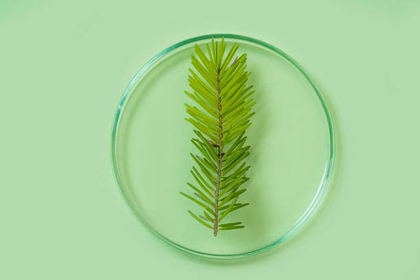 Beyond Users: Essential GA4 Metrics for Diagnosing Organic Health