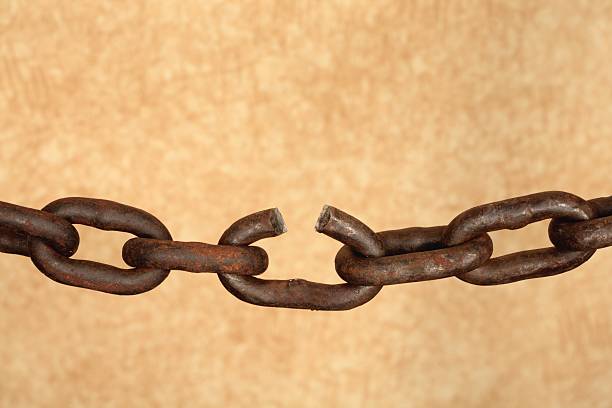 The Enduring Power of Broken Link Building for Startup Growth