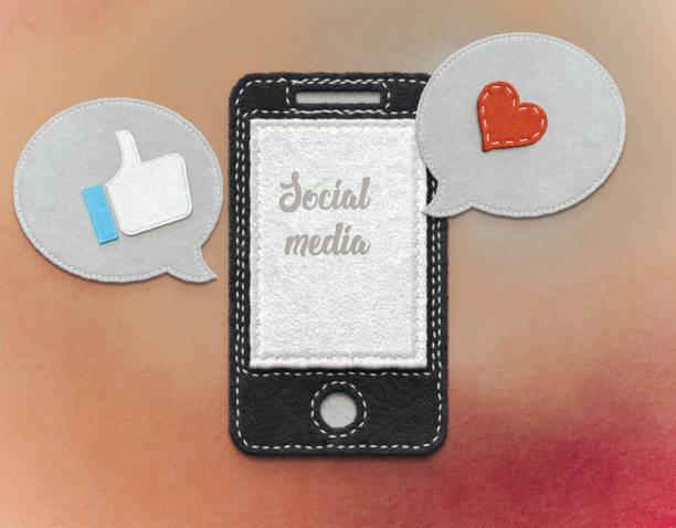 Does Social Media Engagement Accelerate Search Engine Indexing?