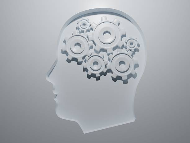 The Most Resource-Efficient Asset You Can Build Is Knowledge