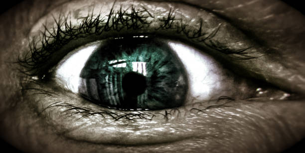 The Guerrilla Approach to Automating Competitor and SERP Monitoring