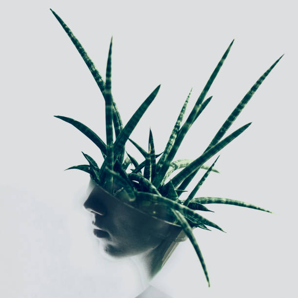 Guerrilla Digital PR: Cutting Through the Noise of a Saturated Market