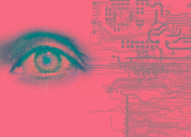 The Plugin vs. Hands-On Dilemma: Choosing Your Path to Structured Data Success