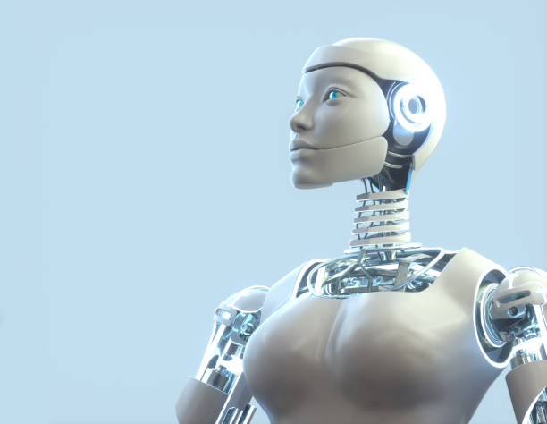 Automating Internal Linking for Superior SEO Performance