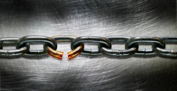 The Wayback Machine and Google Sheets: A Free Stack for Scalable Broken Link Prospecting
