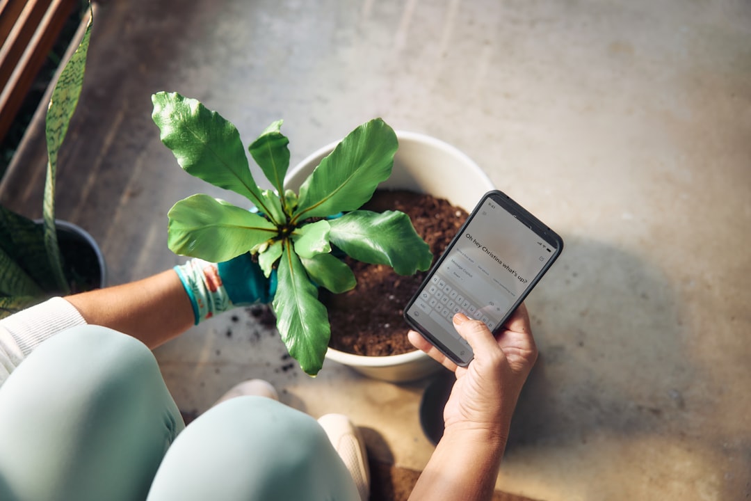 The Algorithmic Arbitrage of Authority: Data-Driven Backlinking for Niche B2B SaaS